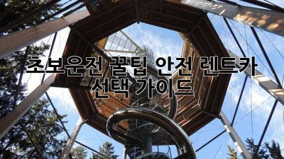 초보운전 🚗꿀팁: 안전 렌트카 선택 가이드