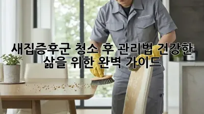 새집증후군 청소 후 관리법: 건강한 삶을 위한 완벽 가이드